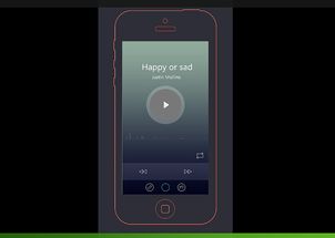 r11发布，R11图片