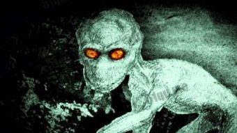 多佛恶魔真的存在吗，冥河水母