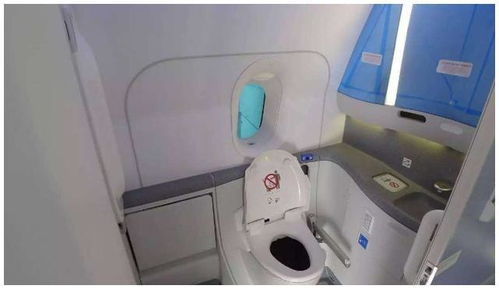 飞机上有厕所吗排泄物怎么处理，空姐工资一般多少钱一个月