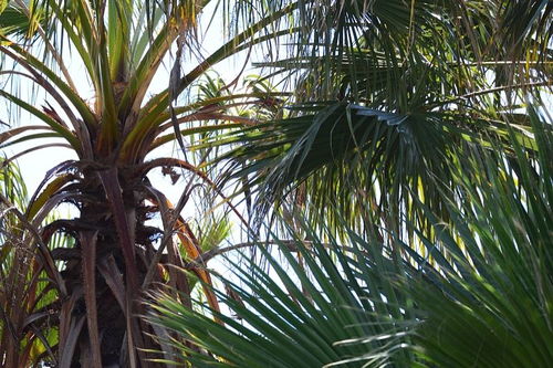 汽车hbc是什么意思，hbcab是什么意思