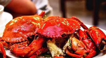 crab的意思中文翻译，crab的意思音标和例句