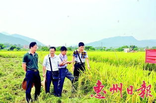 二亩田地猜一生肖，二亩半地什么生肖