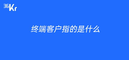 终端是什么意思?，如何开发终端客户