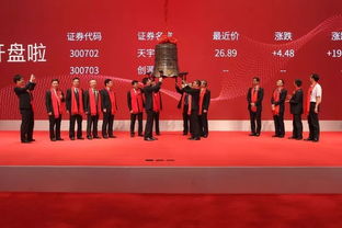 创源文化股票300703，来安创源文化