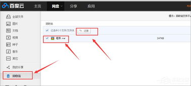 网盘删除怎么恢复文件，网盘如何恢复删除文件
