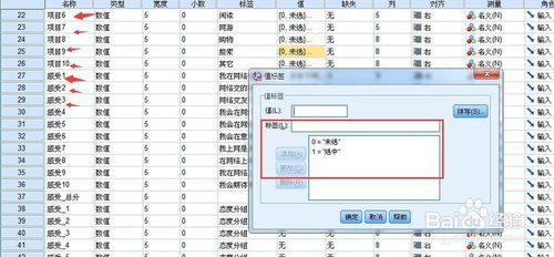 spss数据录入心得体会