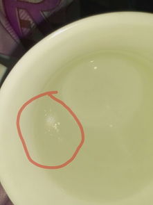 喝桶装水好还是自来水烧开好，自来水烧开喝好还是纯净水好