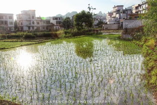 湖南户外电梯，湖南户外露营基地
