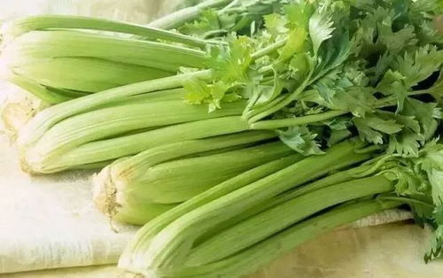 生芹菜榨汁可以直接喝吗，芹菜壮阳还是杀精
