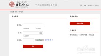 如何查自己的征信记录，个人征信网上查询系统