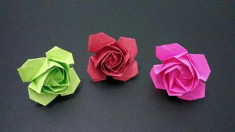 折玫瑰时汀全文免费阅读，折玫瑰小说免费阅读