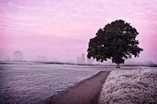 常见的摄影构图方法，五种摄影构图方法