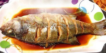 梦见吃鱼，做梦梦到吃鱼是怎么回事