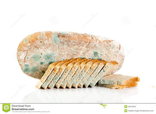 腐烂的意思和拼音，腐蚀的意思是什么