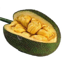 吃菠萝蜜有什么功效和作用，菠萝蜜的籽煮熟了能吃吗