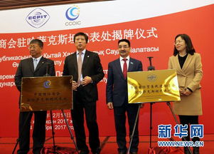 中国贸促会专利商标事务所，中国贸促会级别