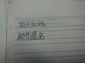 顶天立地造句二年级，顶天立地造句四年级