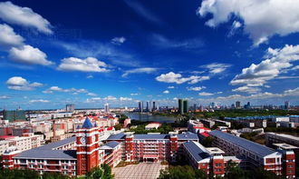 鹤城是哪个城市的美称，东北鹤城是哪个城市