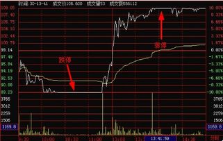 跌停是什么意思啊怎么解释，跌停 是什么