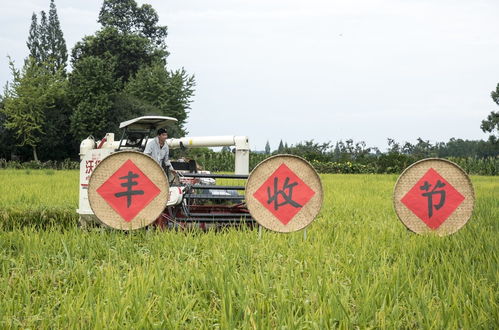 秋分这天结婚好不好，秋分结婚会对谁不利