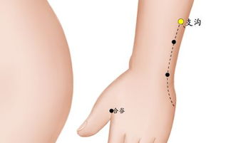 支沟的准确位置图片及功效视频，支沟的准确位置图片及功效