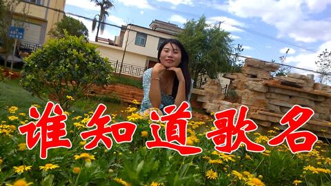 来电铃声大全歌曲，手机来电铃声大全免费下载