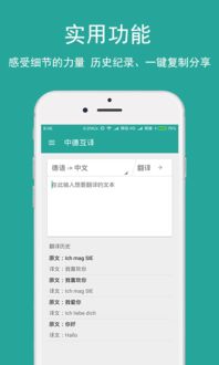 在线有道翻译英语，翻译