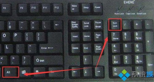 键盘一按全是快捷键怎么取消，键盘打不出字变成各种快捷键