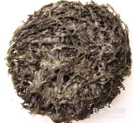 海苔和紫菜是一种东西吗，海苔吃多了有什么坏处