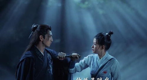 东宫电视剧演员表人物关系图，东宫电视剧演员表角色介绍