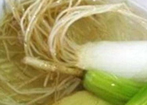 葱白生姜水的功效与作用及禁忌，葱白生姜水的功效与作用小孩能喝吗