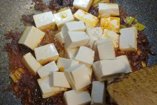 豆腐英文怎么说，豆腐英文怎么读