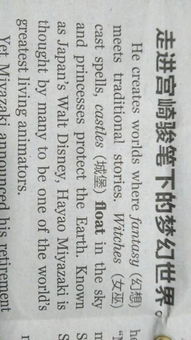 many翻译成汉语，many翻译中文