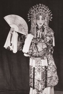 梅兰芳资料200字，梅兰芳资料简介20字