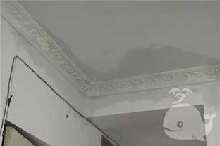 梦见天花板漏水掉下来是什么意思，梦见天花板漏水寓意是吉兆