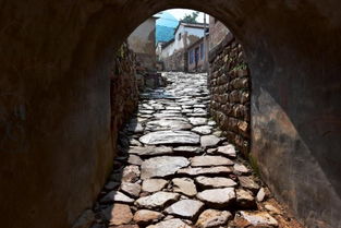 电影老井高清在线观看完整版，电影老井的演员表