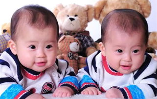 双胞胎的英文怎么读，双胞胎的英文twins