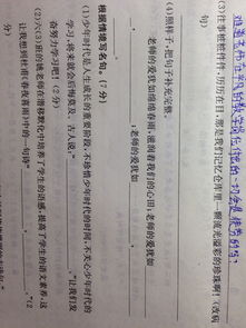 250毫克等于多少克，500毫克等于多少克