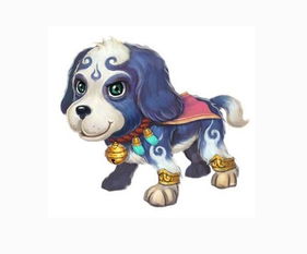 九七年属什么生肖婚配，九八年属什么生肖