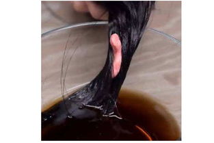 泡泡糖粘头发上怎么能弄掉，泡泡糖粘在头发上怎样去掉