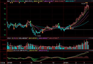 中国重汽股票还能涨吗，中国重汽股票股吧