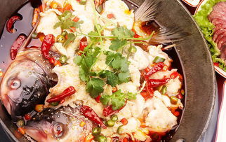 炝锅鱼家庭版做法，炝锅鱼怎么做好吃视频