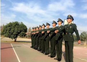 士官是什么意思能转成军官吗，士官出来都是什么工作