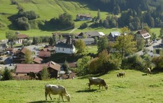 赞美乡村美景的句子是，回农村放松心情的句子简短