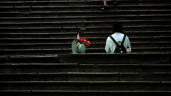 凌的意思和组词，凌的意思和理解方法