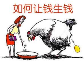 个人小额投资理财项目，个人小额投资理财公司有哪些