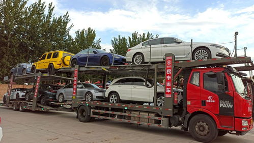 比较好的汽车托运公司有哪些，比较好的汽车托运公司排名