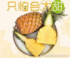 菠萝和凤梨外表怎么区分，凤梨就是菠萝对不对