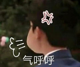 灵魂的含义是什么意思呢，灵魂的意思是什么意思