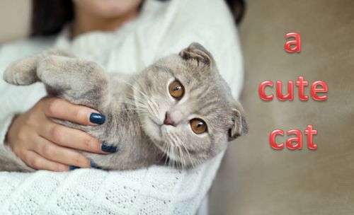 cut，cut是什么意思英语